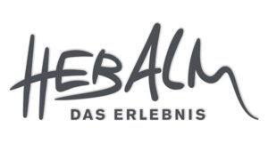 Werbeagentur Stocker Wolfsberg Logodesign (40)